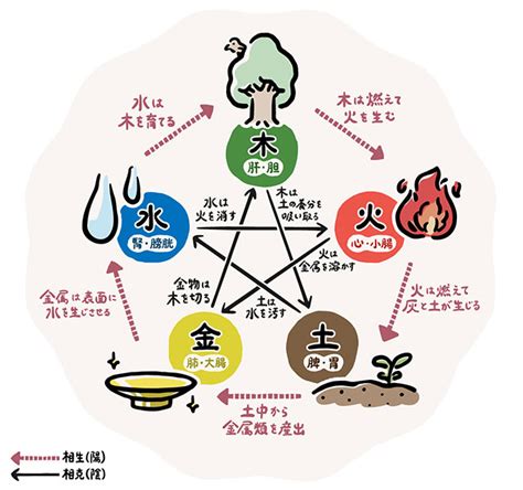 五行 火|五行の火の性質を読み解く！キーワードは情熱・明る。